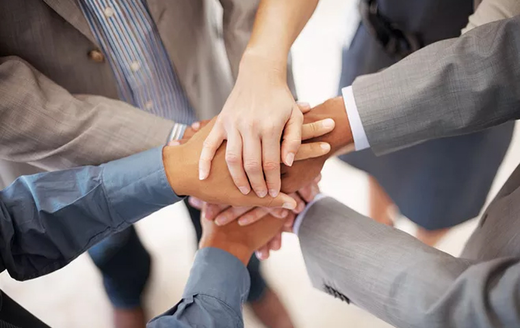 强大的设计力量和技术团队